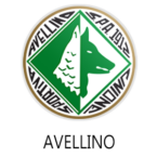 Avellino
